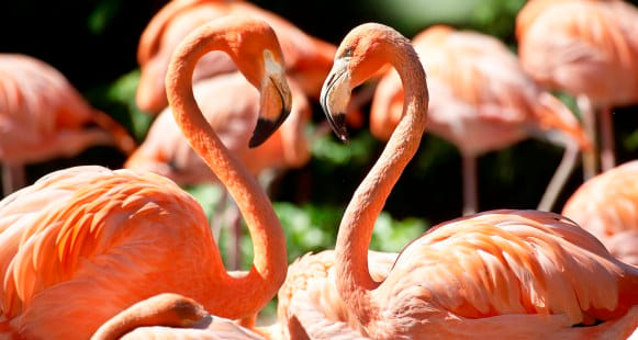 Generieke afbeelding van de achtergrond afbeelding