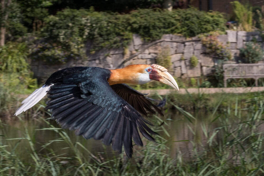 Generieke afbeelding voor image content