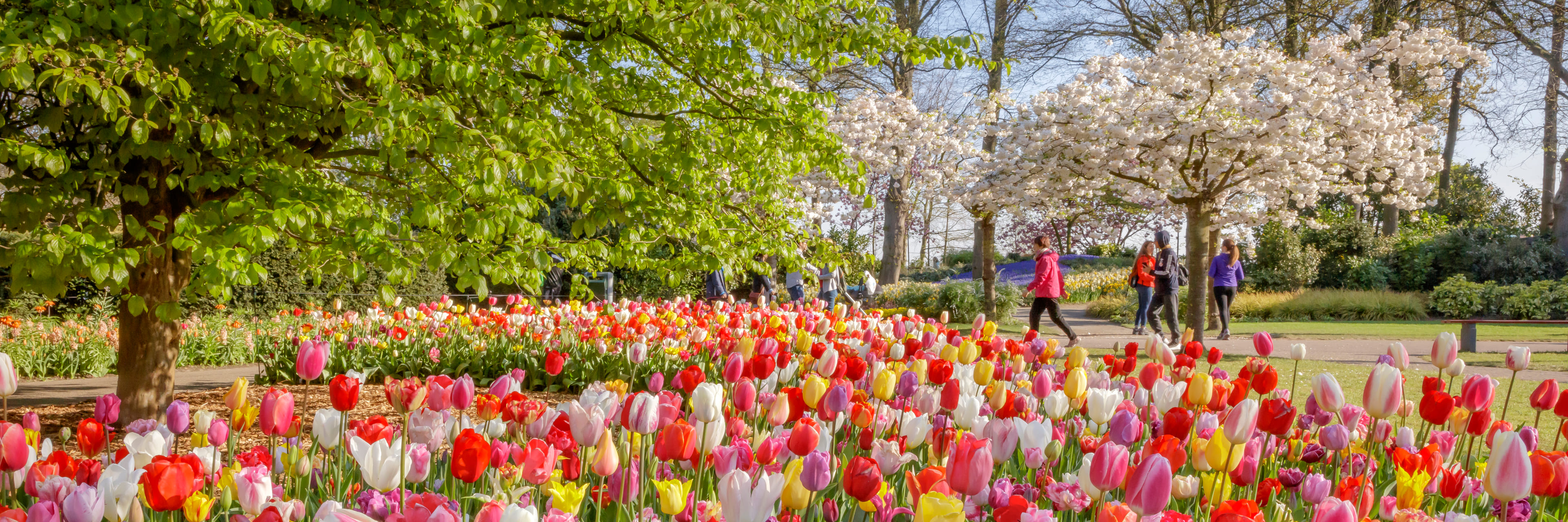 Generieke afbeelding van de achtergrond afbeelding
